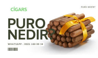 Puro Nedir?