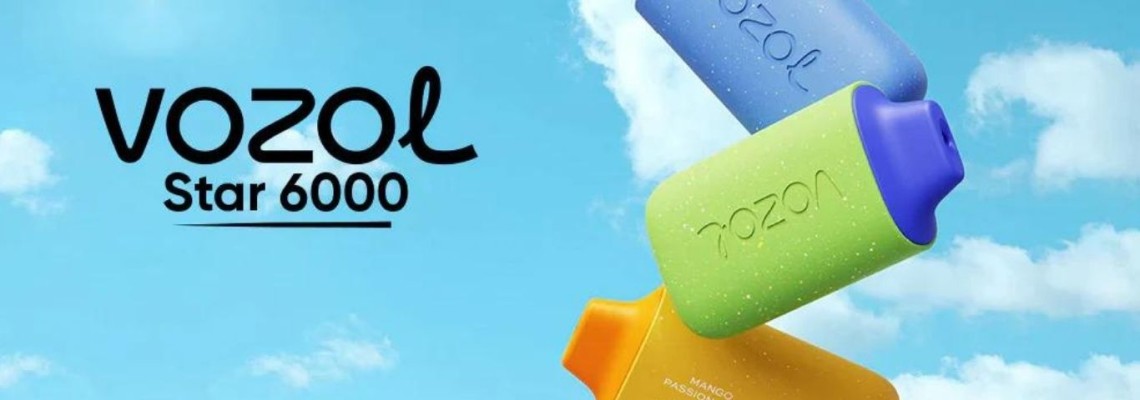 VOZOL 6000 PUFF TEK KULLANIMLIK ŞARJ EDİLEBİLEN ELEKTRONİK SİGARA