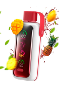 Vozol Star 20000 PUFF
