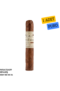 CAO Pilon Robusto 1 Adet Puro