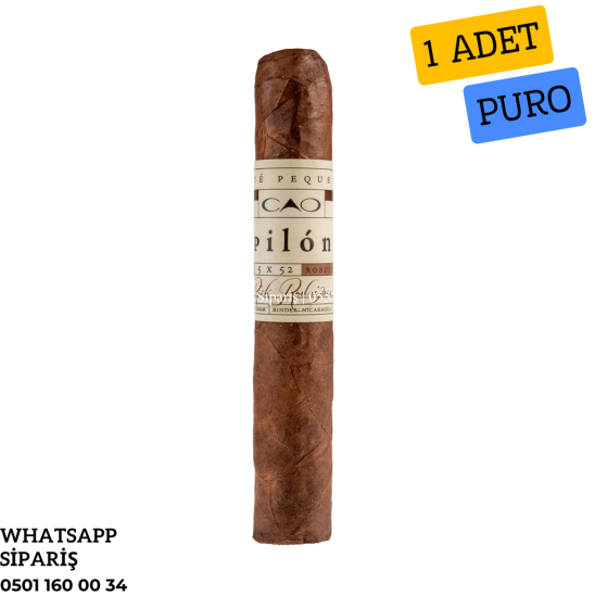 CAO Pilon Robusto 1 Adet Puro