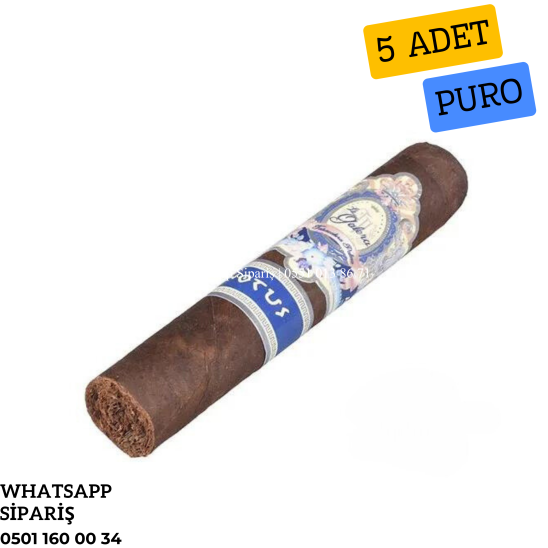 La Galera Anemoi Notus 5'li Puro Paket