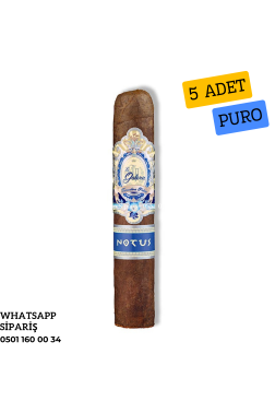 La Galera Anemoi Notus 5'li Puro Paket