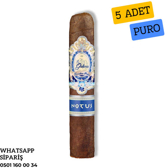 La Galera Anemoi Notus 5'li Puro Paket