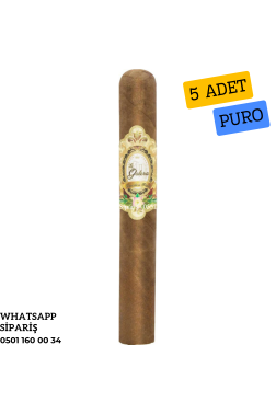 La Galera Habano Pilones 5'li Puro Paket