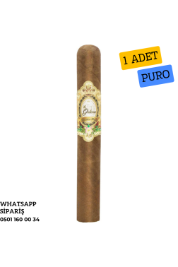 La Galera Habano Pilones 1 Adet Puro