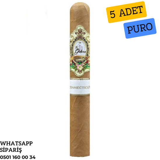 La Galera Connecticut El Lector 5'li Puro Paket
