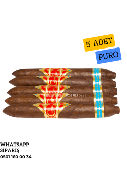 Cuban Parejo Habano  Oscuro Salomón No6 - 5'li Puro Paket