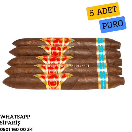 Cuban Parejo Habano  Oscuro Salomón No6 - 5'li Puro Paket