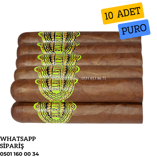 Eleanor No8 Petit Edmundo 10'lu Puro Paket