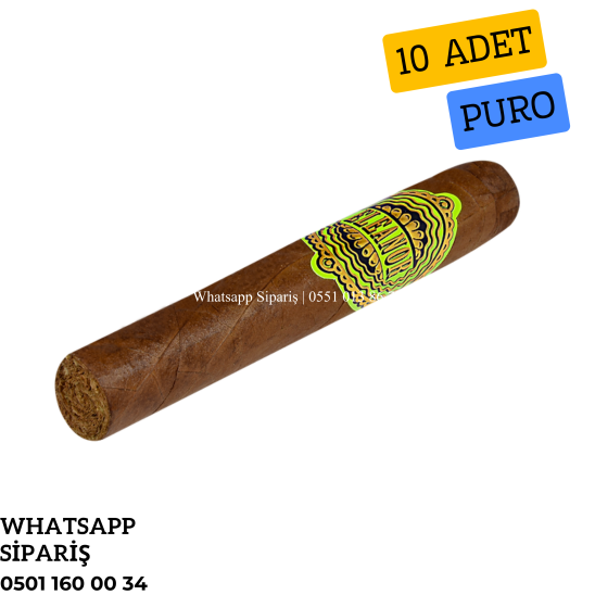 Eleanor No8 Petit Edmundo 10'lu Puro Paket