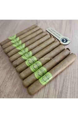 Eleanor Coronitas 10lu Puro Paket