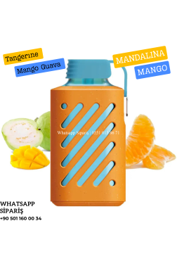 Vozol Tangerıne Mango Guava 10000 PUFF