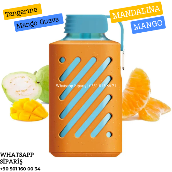 Vozol Tangerıne Mango Guava 10000 PUFF