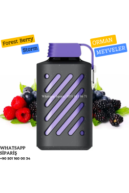 Vozol Forest Berry Storm 10000 PUFF