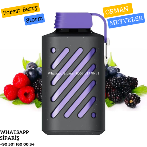 Vozol Forest Berry Storm 10000 PUFF