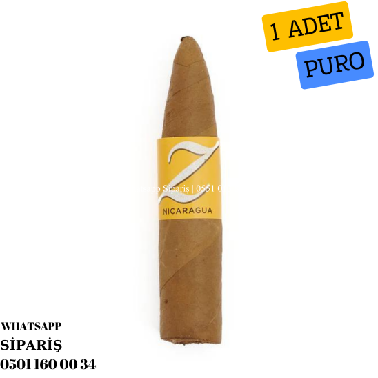 Zino Nicaragua Short Torpedo 1 Adet Puro