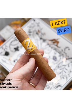Zino Nicaragua Robusto 1 Adet Puro
