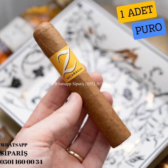 Zino Nicaragua Robusto 1 Adet Puro