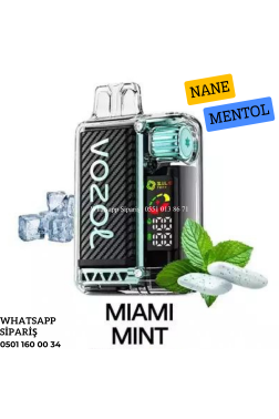 Vozol Vista Miami Mint 20000 PUFF