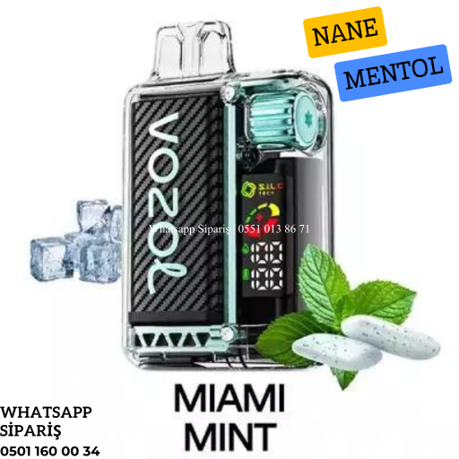 Vozol Vista Miami Mint 20000 PUFF
