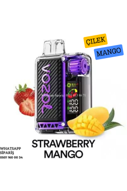 Vozol Vista Strawbery Mango 20000 PUFF