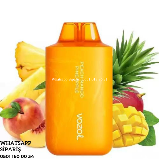 Vozol Mango Peach PıneApple 6000 PUFF