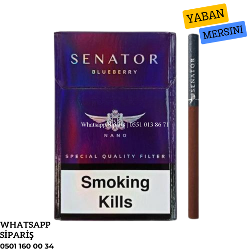 Senator Blueberry (Yaban Mersini) Aroma Sigara x10 Paket