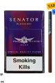 Senator Blueberry (Yaban Mersini) Aroma Sigara x10 Paket