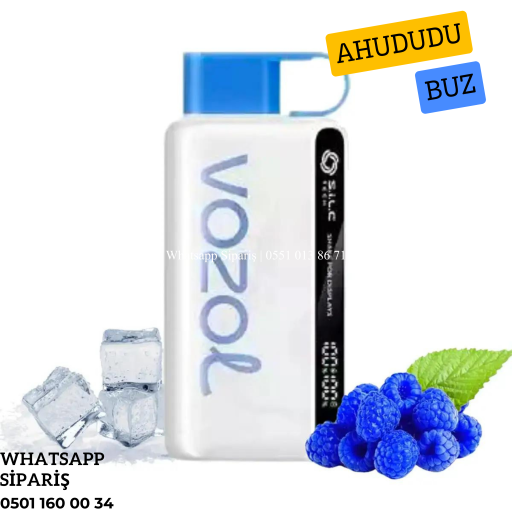 Vozol 12000 Puff Blue Razz Ice