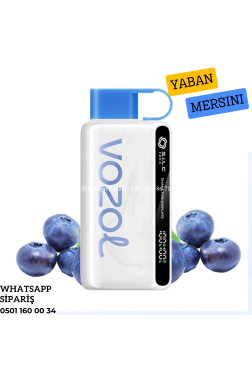 Vozol 12000 Puff Blueberry Storm