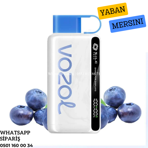 Vozol 12000 Puff Blueberry Storm
