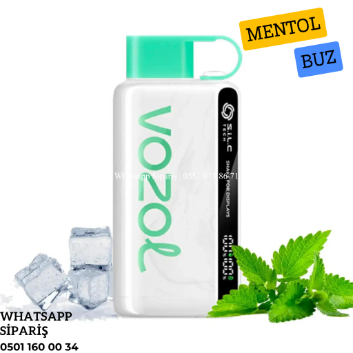 Vozol 12000 Puff Cool Mint