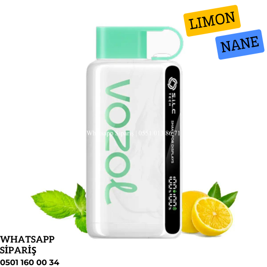 Vozol 12000 Puff Lemon Mınt