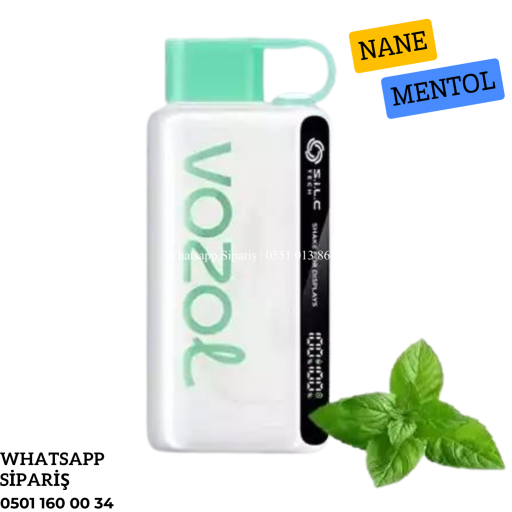 Vozol 12000 Puff Miami Mint