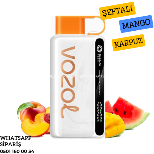 Vozol 12000 Puff Peach Mango Watermelon