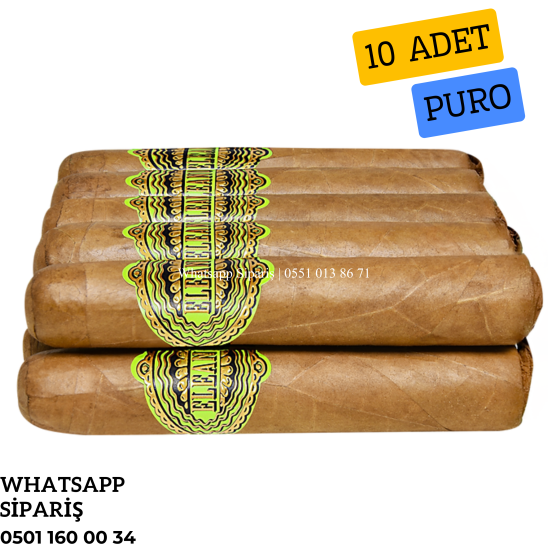Eleanor Half Corona 10'lu Puro Paket