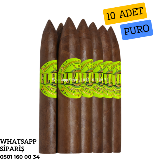 Eleanor Short Piramides 10'lu Puro Paket