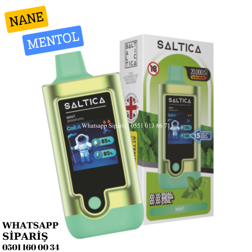 Saltica 20000 PUFF Mint