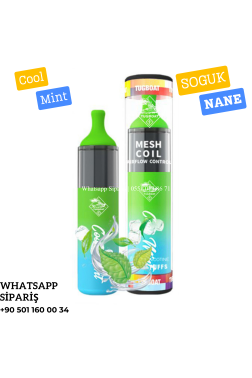 Cool Mint Tek Kullanımlık 4500 Puffs