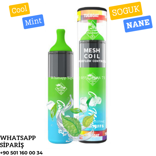 Cool Mint Tek Kullanımlık 4500 Puffs