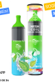 Cool Mint Tek Kullanımlık 4500 Puffs