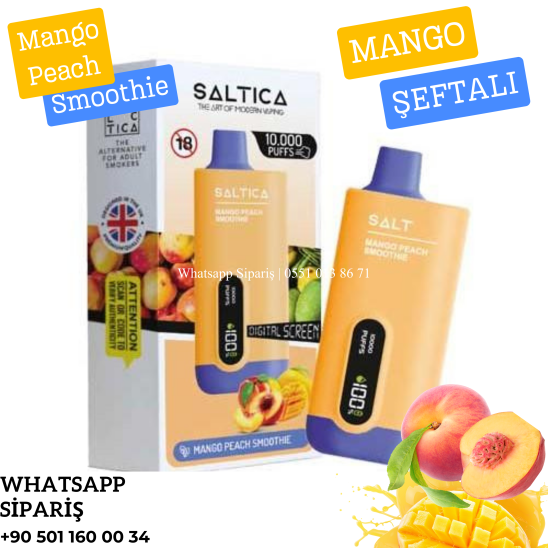 Saltica Dijital 10000 PUFF Mango Peach Smoothie