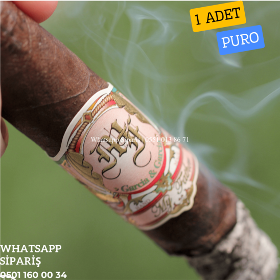 My Father Le Bijou 1922 Petit Robusto 1 Adet Puro