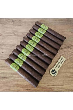 Eleanor No5 Geniales 10lu Puro Paket