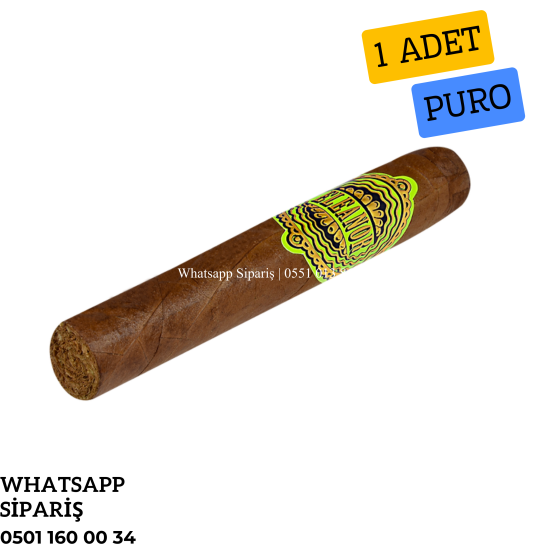 Eleanor No8 Petit Edmundo 1 Adet Puro