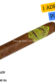 Eleanor No8 Petit Edmundo 1 Adet Puro
