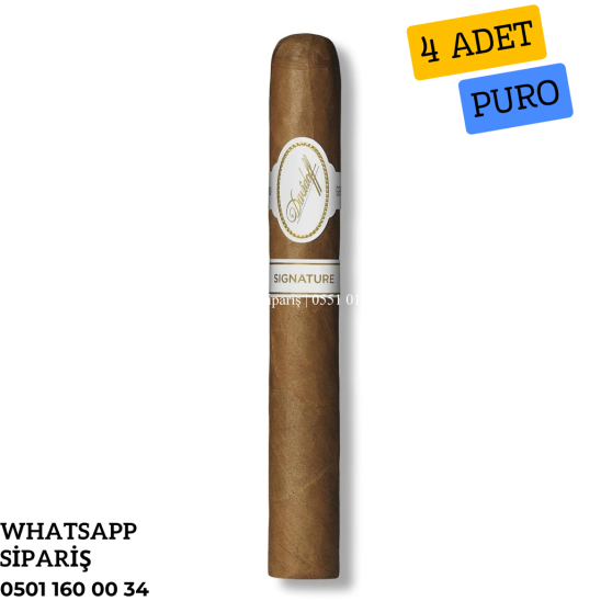 Davidoff Grand Cru Robusto 4'lü Puro