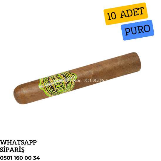 Eleanor No1 Robusto - 10'lu Puro Paket