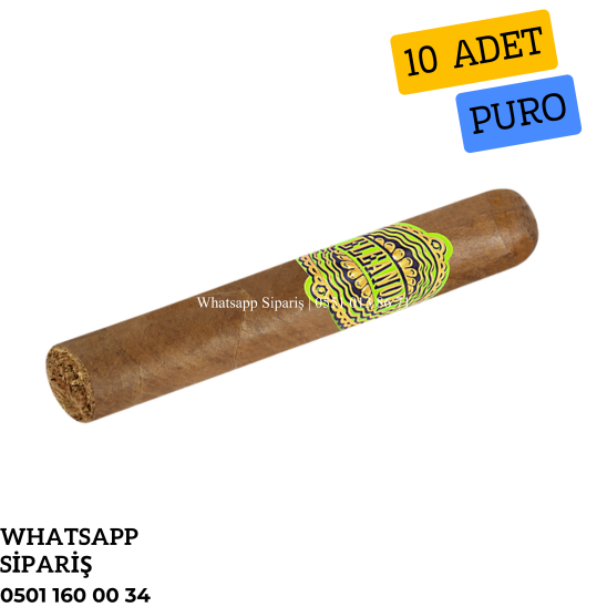 Eleanor No1 Robusto - 10'lu Puro Paket